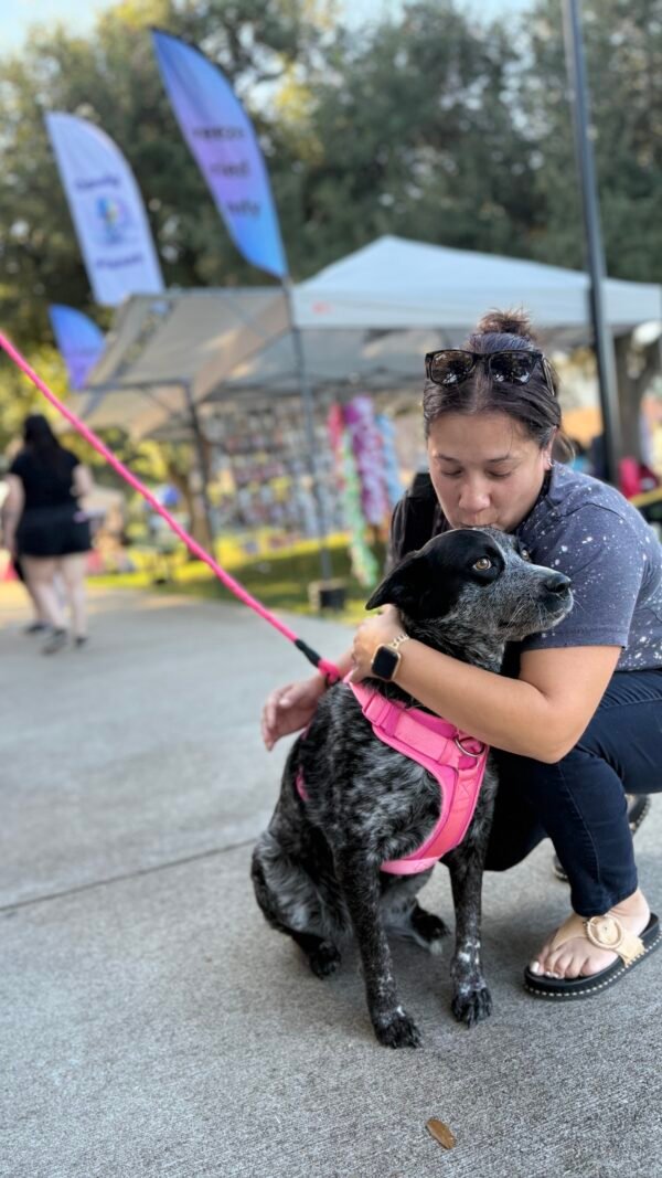 REFLECTIVE DOG LEASH - Image 4